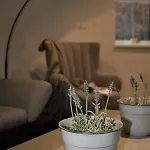 Rmntk Chopok Juh Horná Lehota