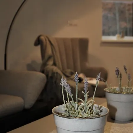 Rmntk Chopok Juh Horná Lehota