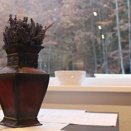 Apartment Rmntk Chopok Juh Horná Lehota