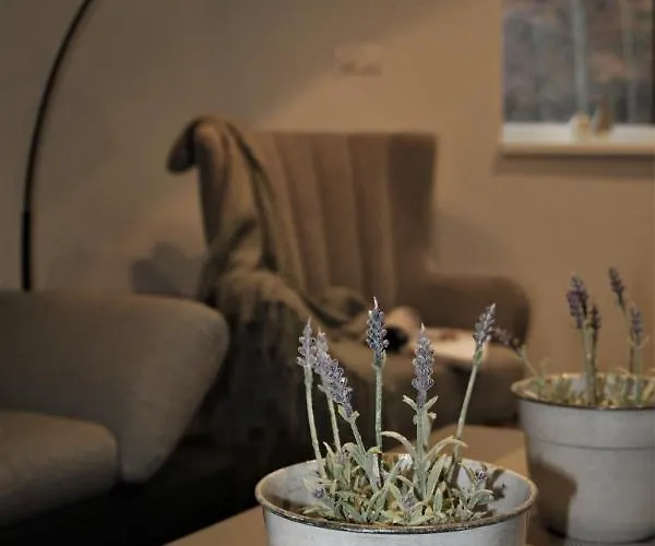 Rmntk Chopok Juh Horná Lehota